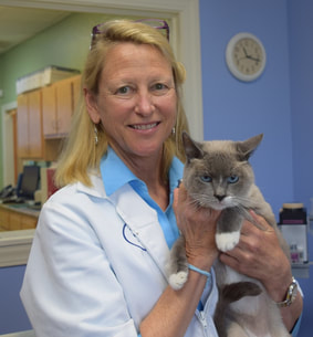 Dr. Kathy Kvam