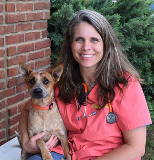 Veterinarians in Oxford, MS - Crossroads Animal Hospital ...